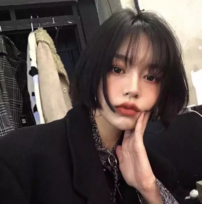 森林随处可见