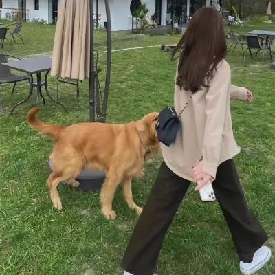 树林里的夫妻
